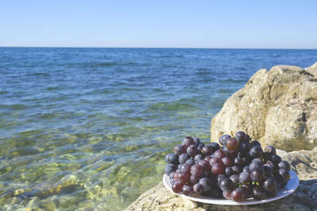 Black grapes against the background of the sea. Place for text.の写真素材