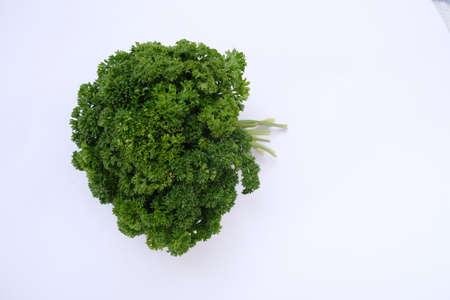 A bunch of parsley on a white background.の写真素材