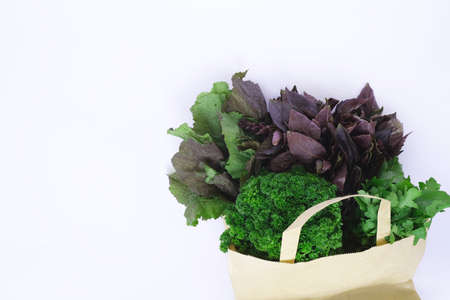 On a white background, a paper bag with herbs (basil, lettuce, cilantro, mustard, parsley,...
