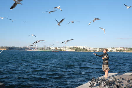 The girl feeds the ivory gulls flying over her head and calm blue sea, russia, sevastopol.の写真素材