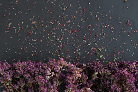 Oregano herb on   black