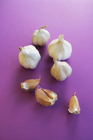 Set of fresh garlic cloves on a lilac background. Place for text.の写真素材