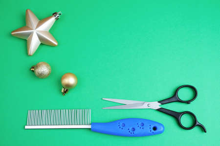 Flat christmas composition with dog and cat accessories on new year green background. Caring for and caring for animals.の写真素材