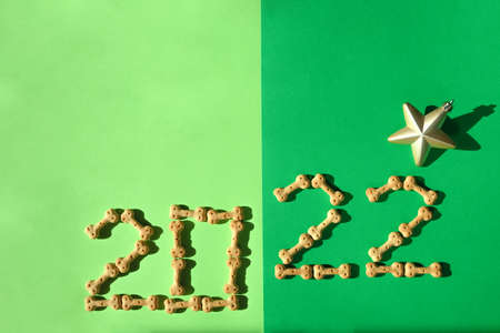 Happy New Year 2021 with dog food on green background. Flat lay, top viewの写真素材