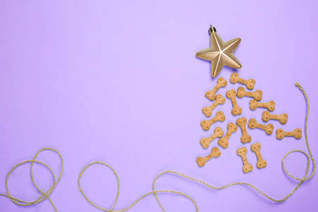 Dog cookie snack in the form of Christmas tree and Christmas tree decorations painted in purple trendy colors of 2022. Top view of dog supplies. Postcard with copy space. Pet shop concept.の写真素材