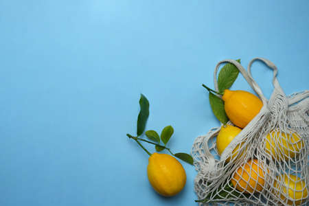 A bunch of lemons with leaves in a cotton eco bag, string bag, on a blue background. Mesh shopping bag with lemons.の写真素材