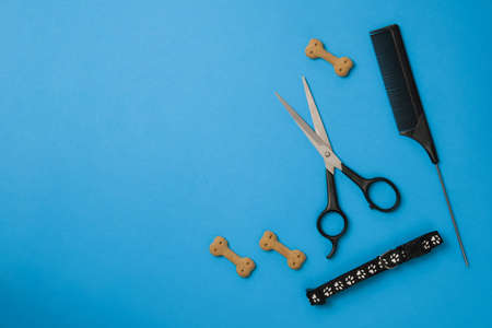 Collection of professional hairdressing tools on a blue or light blue background. Dog barbershop...