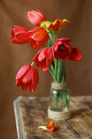 Bouquet of red tulips in a vase on a dark wooden table, a flaming tulip. country style.の写真素材