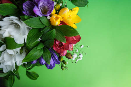 Composition of beautiful flowers. Pink, purple and yellow flowers on a green background. Flat lay, top view. Postcard March 8の写真素材