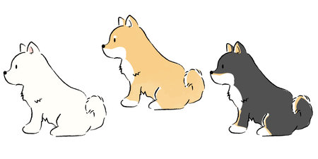 A simple, hand-drawn illustration of a cute Shiba Inu sittingのイラスト素材