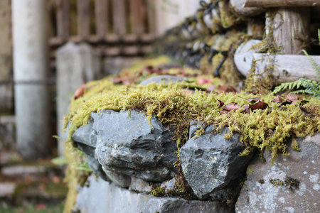 Stone with moss, Japanese landscapeの写真素材