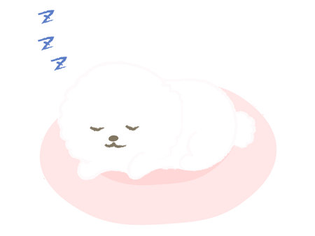 Illustration of a dog sleeping on the bed Bichon Frizeのイラスト素材