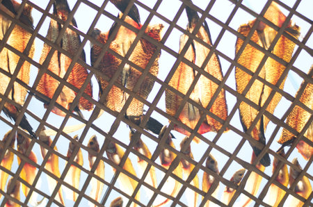 dried fish. food preservation. To preserve for a long time.の写真素材