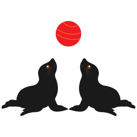 Seals are playing red ball isolated on white background.のイラスト素材