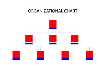 Organizational Chart isolated on white background.のイラスト素材