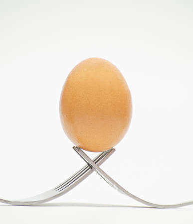 A brown chicken egg is placed on the tip of a cutlery on a white background.