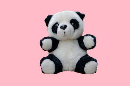 Panda doll isolated on a pink background.