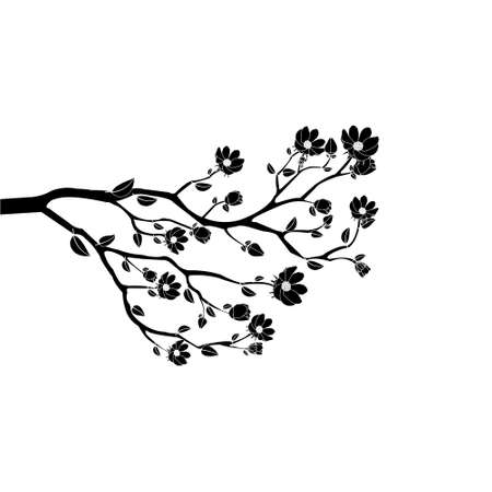 Branch black and white flower isolated on white background.のイラスト素材