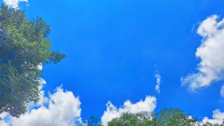 Beautiful blue sky with fluffy white clouds and green trees, perfect for natural outdoor landscape backgrounds.の写真素材