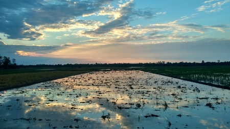 Sunset view at the farmlandの写真素材