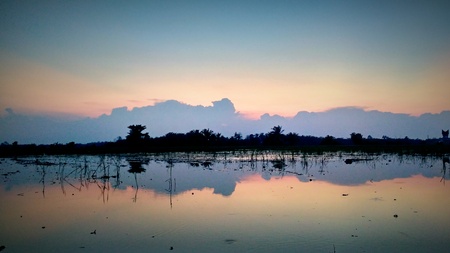 Sunset view at the farmlandの写真素材