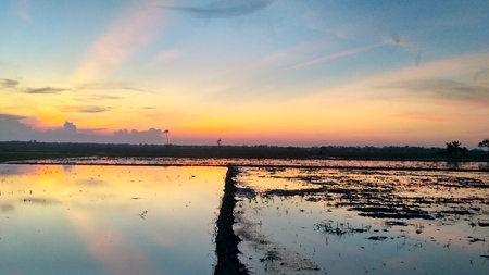 Sunset view at the farmlandの写真素材