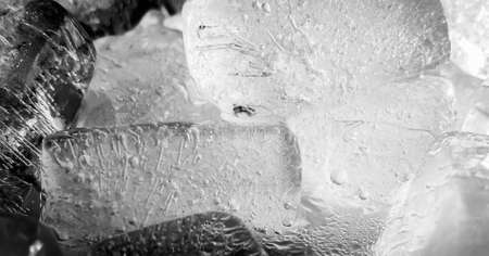 The ice cube shape has been adjusted to add color,It will help refresh and make you feel good.の写真素材