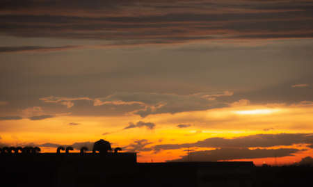 Abstract cloudy background, beautiful natural streaks of sky and clouds,Red sky at sunseの写真素材