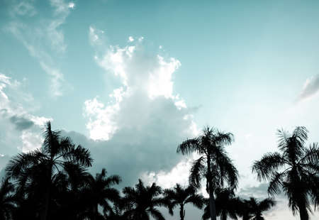 Abstract cloudy background,beautiful natural streaks of sky and clouds,beautiful natural landscape
