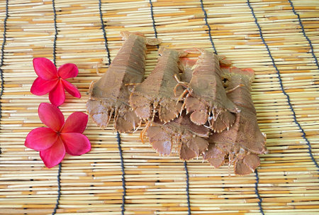 Flathead lobster, thenus orientalis, oriental flathead lobster, theninae, lobster moreton, thenus,  is a very delicious seafood.の写真素材
