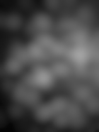 A black background with a white background,abstract black background.black background illustration texture and dark gray charcoal paint, dark and gray abstract wallpaper.の写真素材