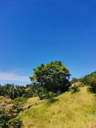 Green hill and blue sky in sunny day, Phuket, Thailandの写真素材