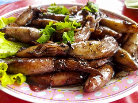 small squid stir-fried ,Thai food.の写真素材