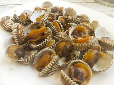 Boiled cockleの写真素材