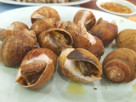 Grilled sweet clamsの写真素材