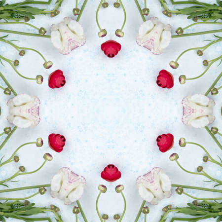 Cute Flower Kaleidoscope Frame With Mandala Ornamentの写真素材