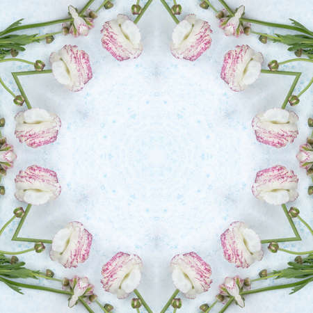 Cute Flower Kaleidoscope Frame With Mandala Ornamentの写真素材