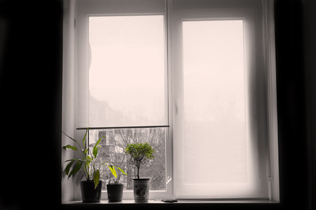 green gardenのeditorial素材