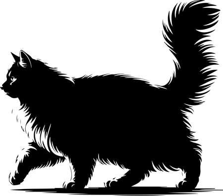 Maine Coon Cat - Black and White Vector Illustration - Isolated on White Backgroundのイラスト素材