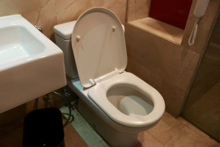 interior of a modern bathroom with a toilet and bidet.の写真素材