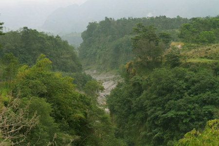 Mountain landscape with a river in the middle of the forest.の写真素材