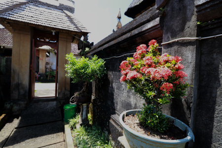 Photo of a garden full of colorful plants and flowers, a beautiful gardenの写真素材