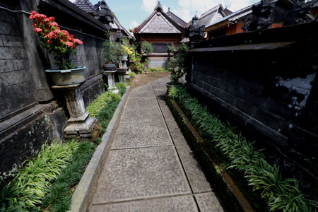 Photo of a garden full of colorful plants and flowers, a beautiful gardenの写真素材