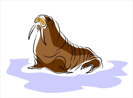 walrus in the arcticのイラスト素材