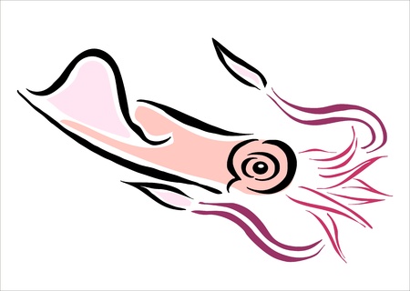 drawing of a squidのイラスト素材