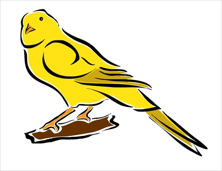 drawing of a wellow canaryのイラスト素材