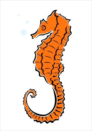 drawing of a sea horseのイラスト素材