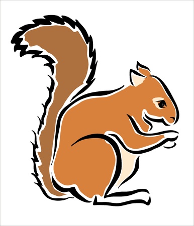 drawing of a brown squirrelのイラスト素材