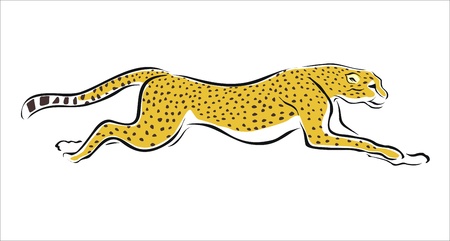 drawing of a cheetah runningのイラスト素材