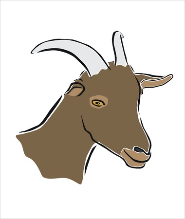 drawing of the head of a goatのイラスト素材
